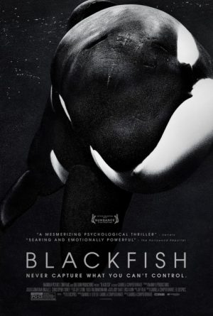 Thumbnail for Blackfish 